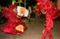 /album/galeria-de-fotos/mestre-sala-p-bandeira-jpg/